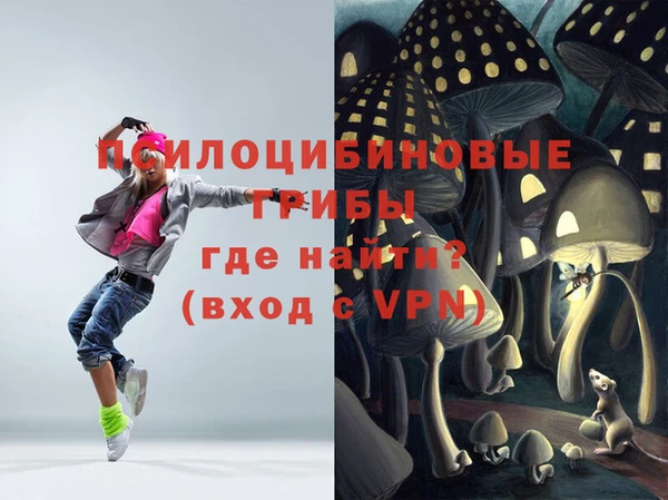 кокс Аркадак